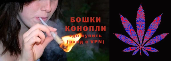 молекула духа Магас