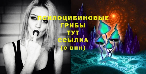 эйфоретик Магадан