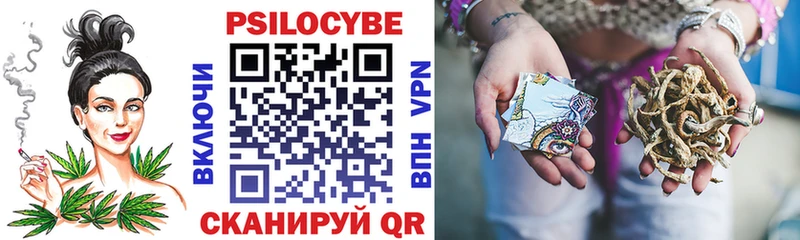 Галлюциногенные грибы Psilocybine cubensis  blacksprut сайт  Судогда  закладки 